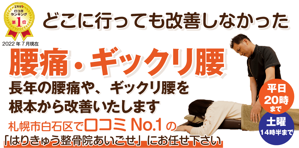 札幌市で腰痛・ギックリ腰は医師も推薦する